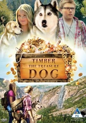 Timber et la carte au trésor